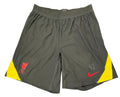 Nike Liverpool FC Dri-FITADV Men's Football Shorts
