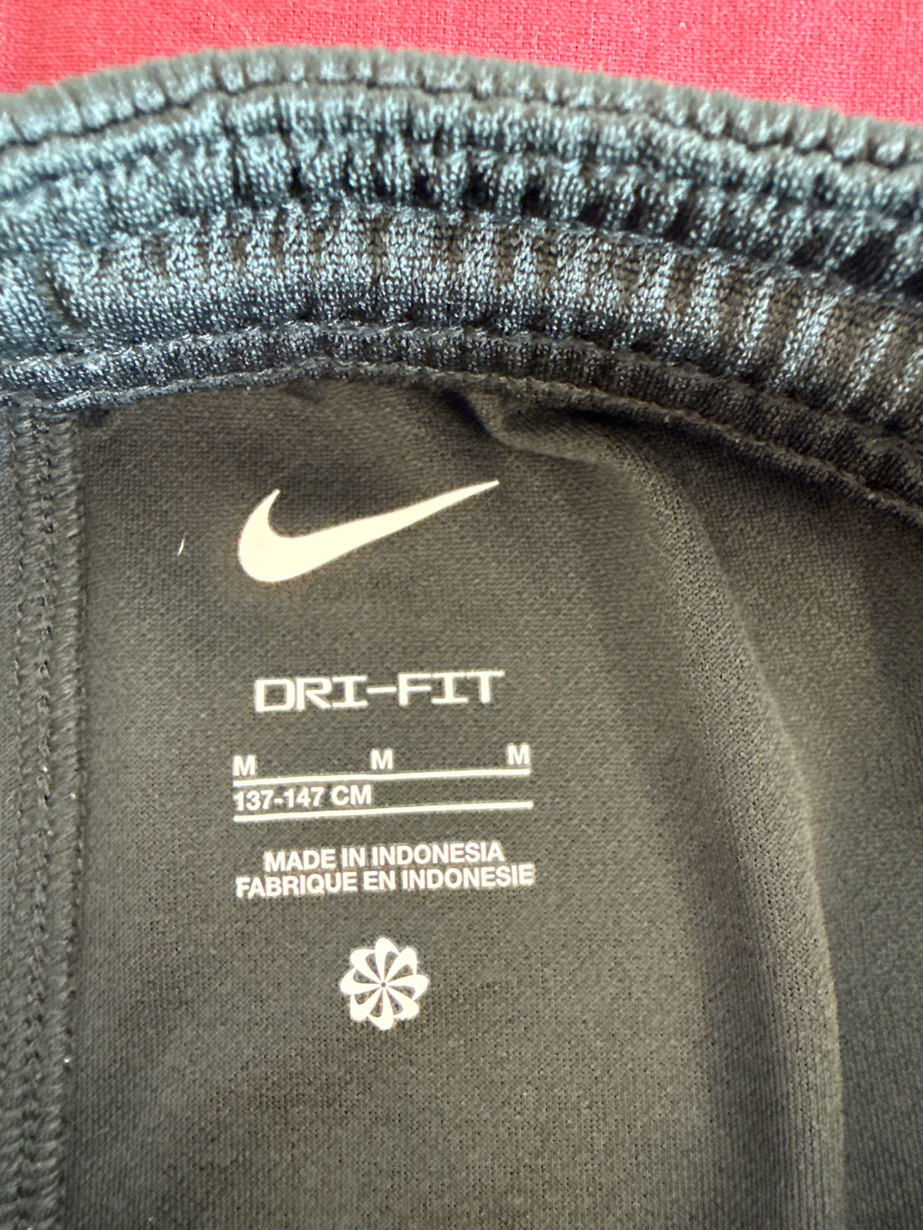 Nike Dri-FIT label with size information inside shorts
