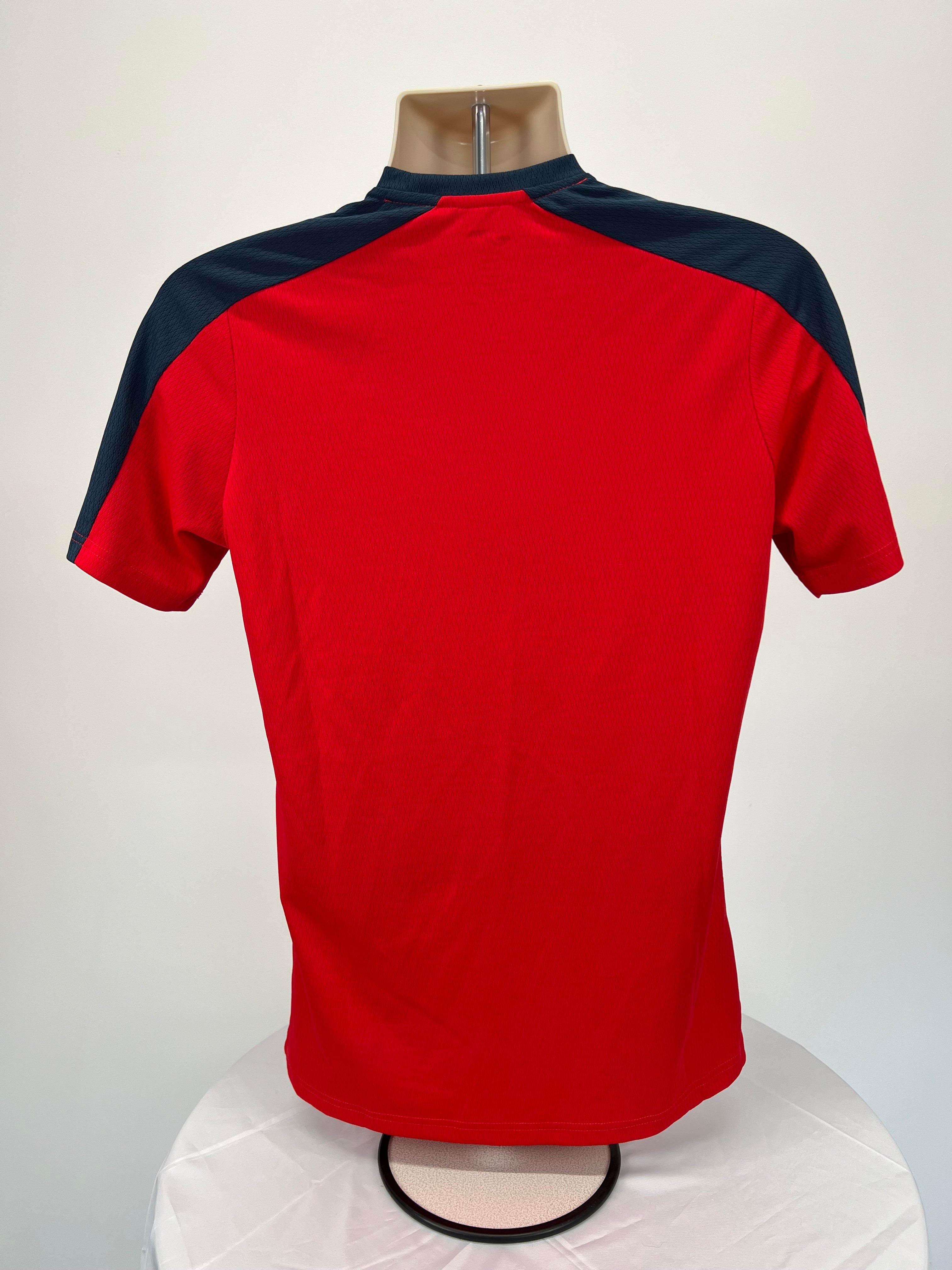 Back view of red men’s rowing team t-shirt showing plain design with black accents