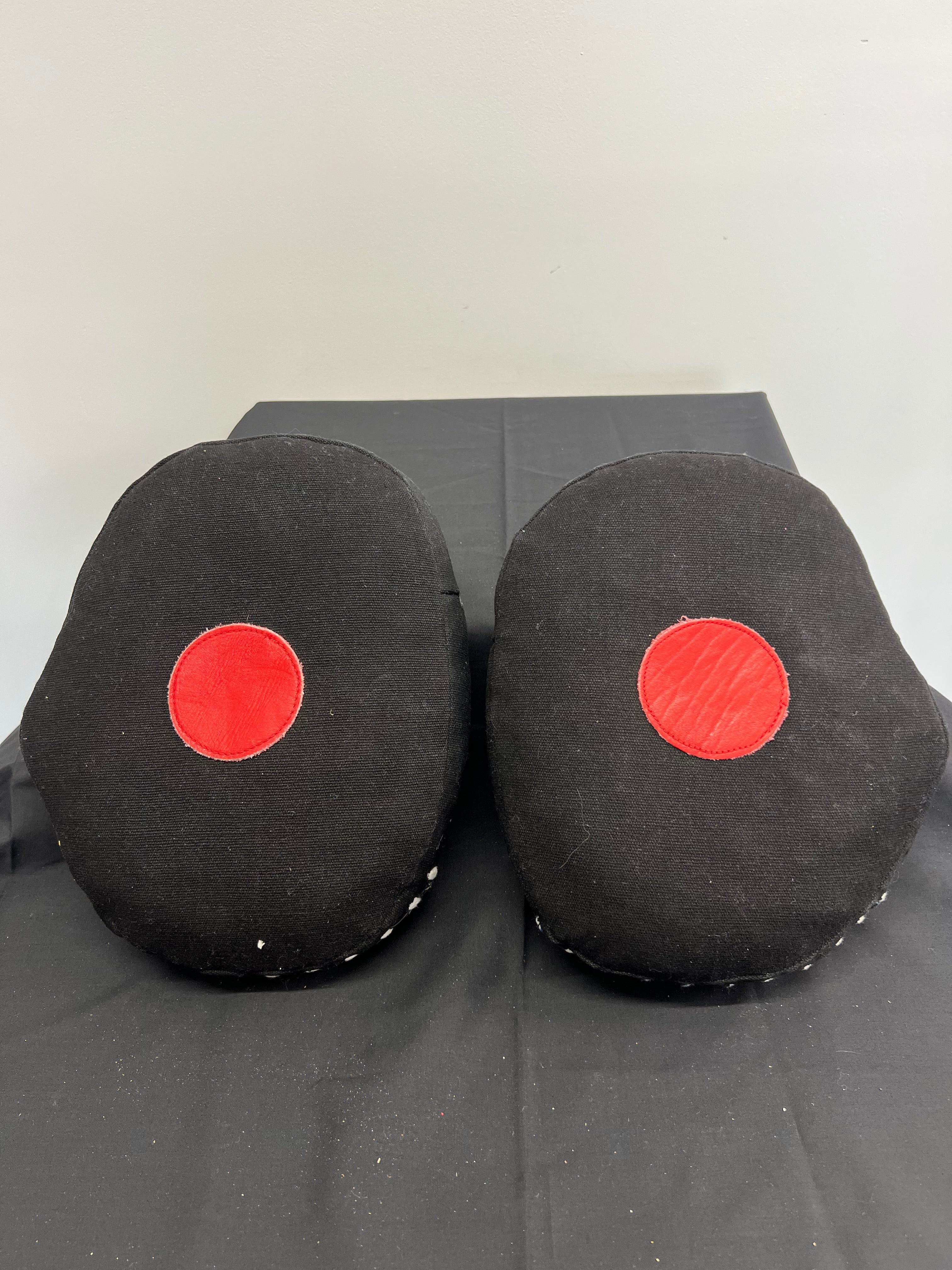 Back view of Bryan sparring pads showing black padded surface with central red target spot