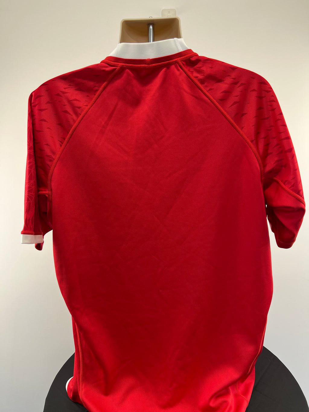 Back view of Canterbury Lions Rugby Shirt in red showing plain design with subtle sleeve pattern