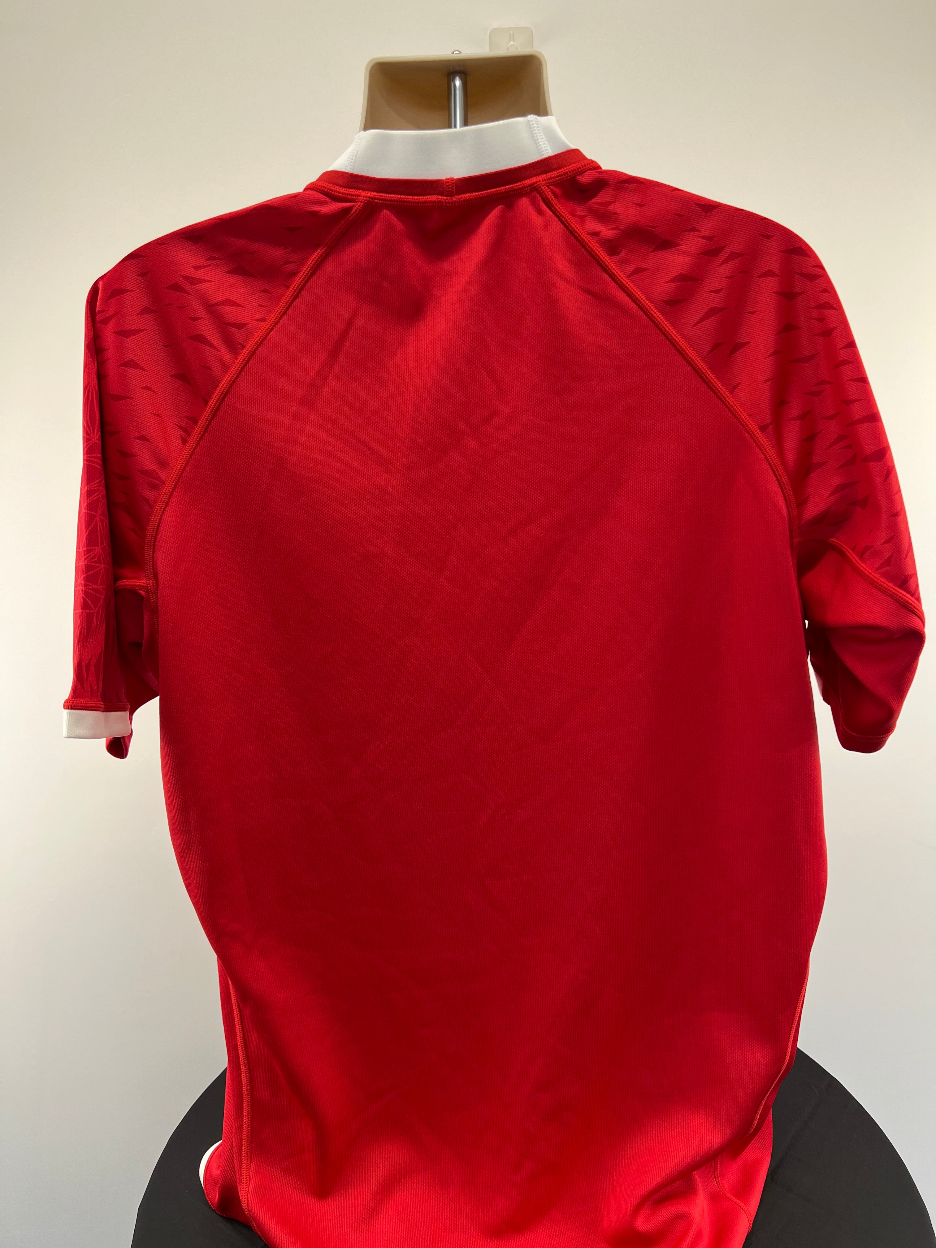 Back view of Canterbury Lions Rugby Shirt in red showing plain design with subtle sleeve pattern