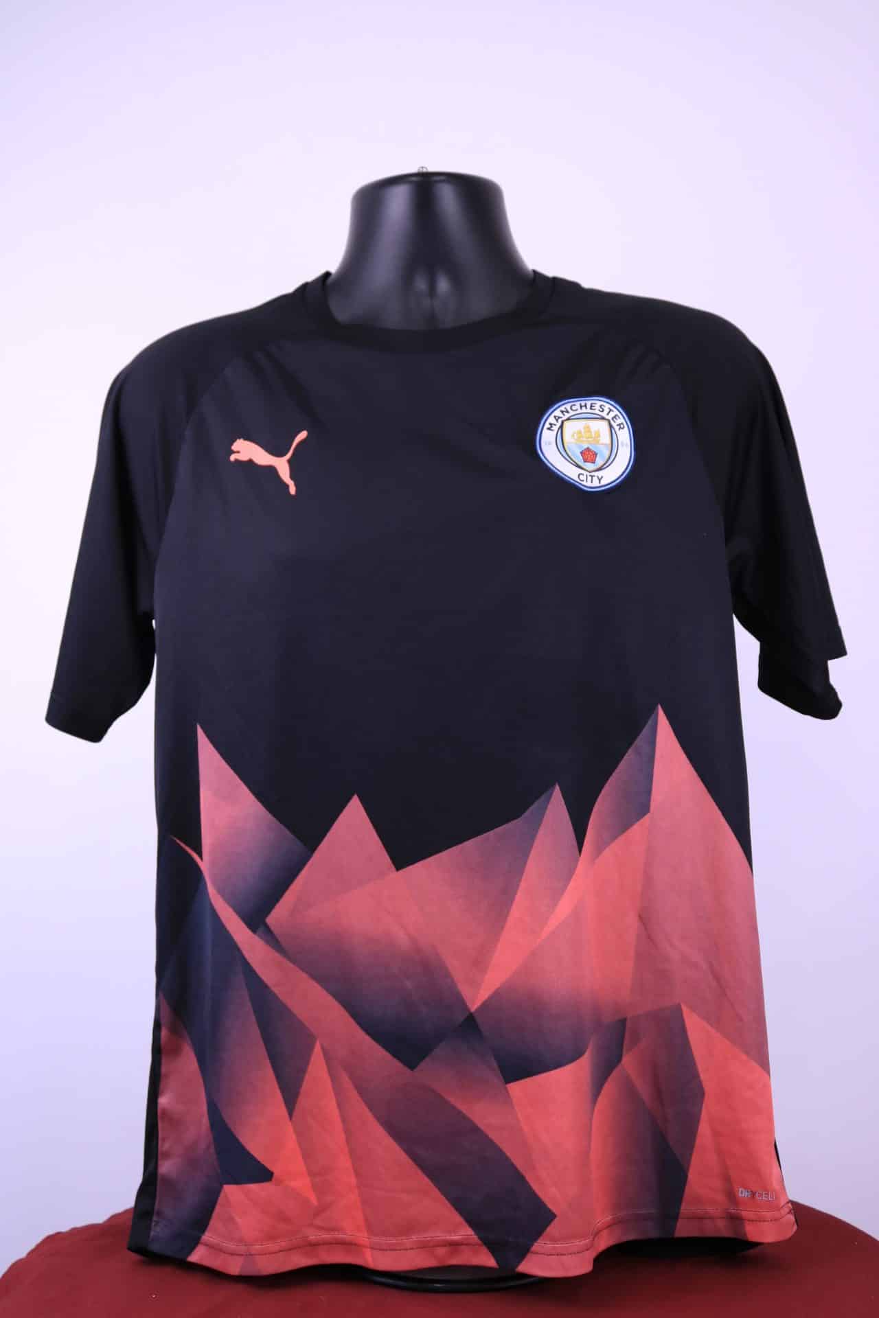 Manchester City Puma Football Top 2019-20 Pre-Match Shirt