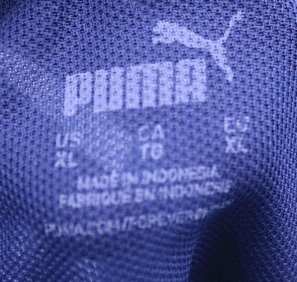 Puma Training Shorts - Image 3