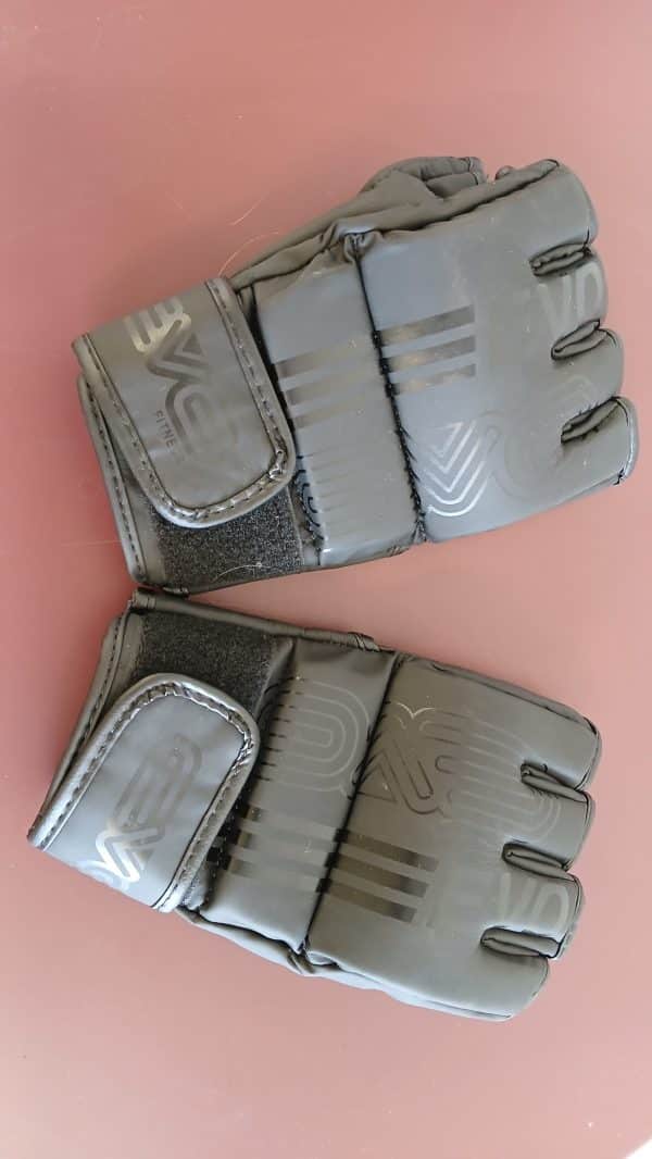 EVO Boxing Gloves