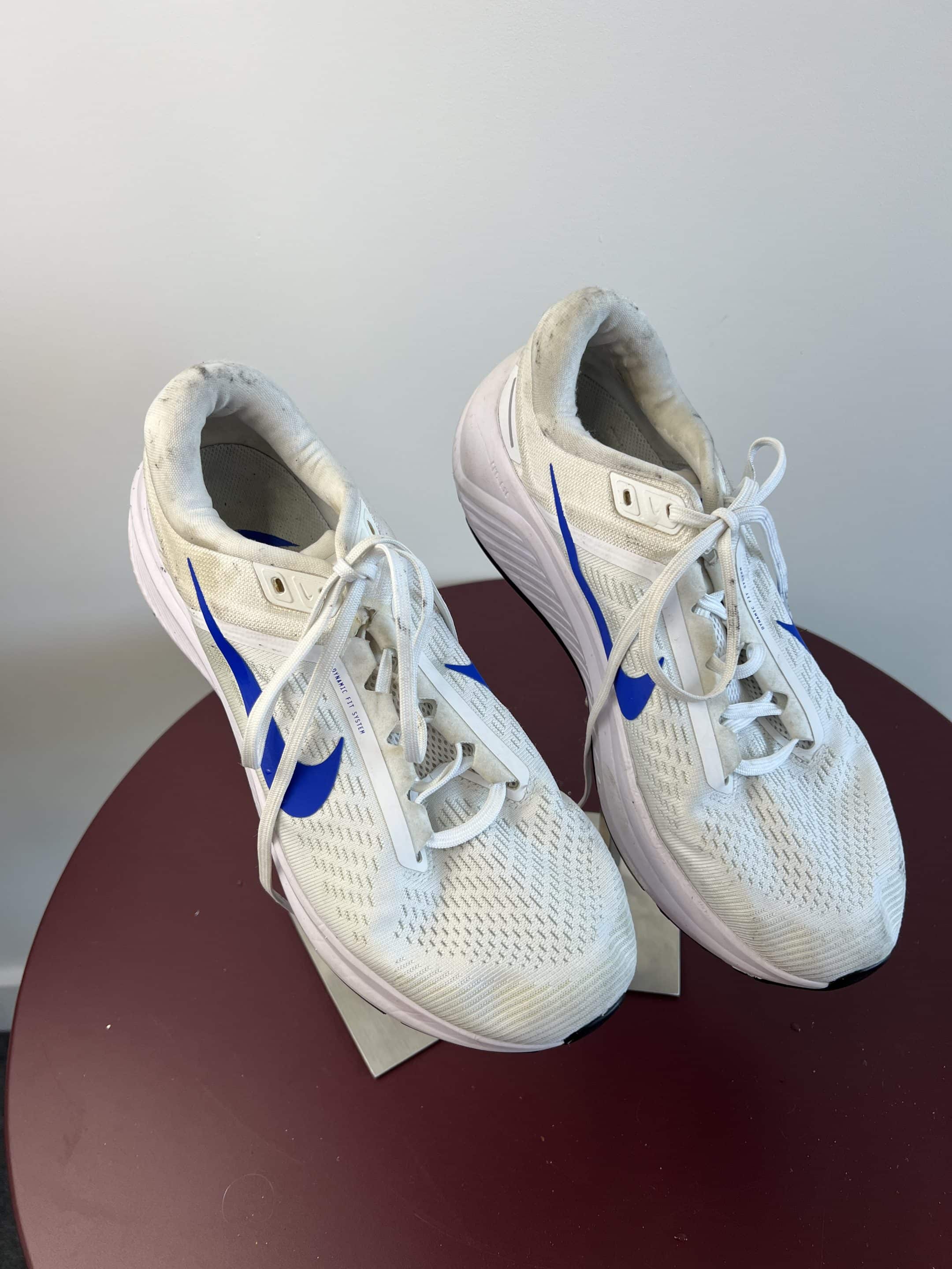 Nike Running Trainers White and Blue